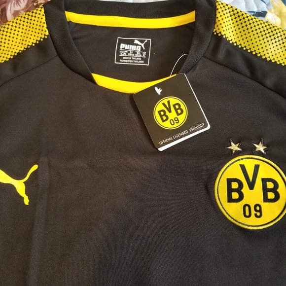 Polo Puma - Picture 4 of 5